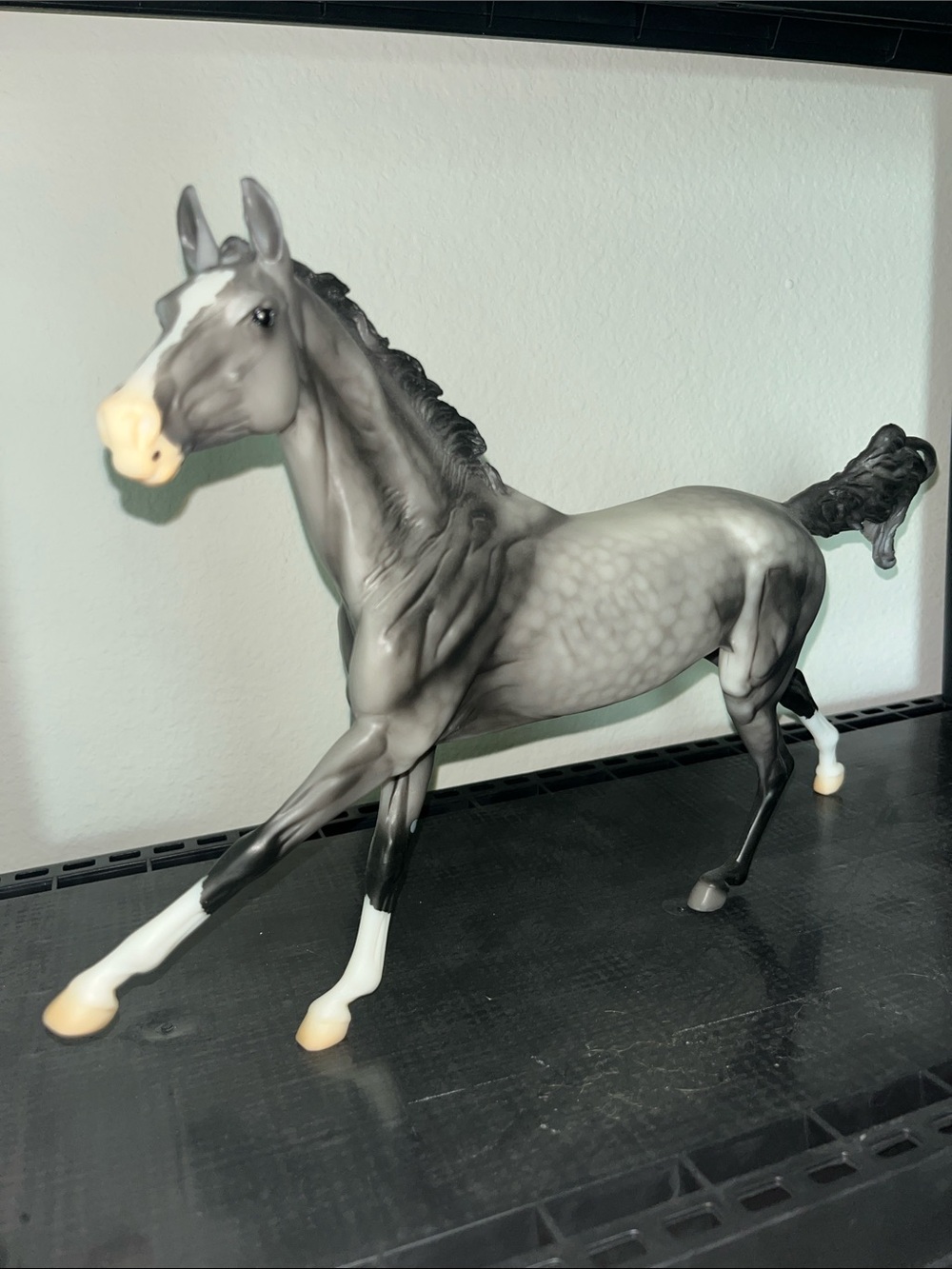 Breyer Maddox #B-CS-10293